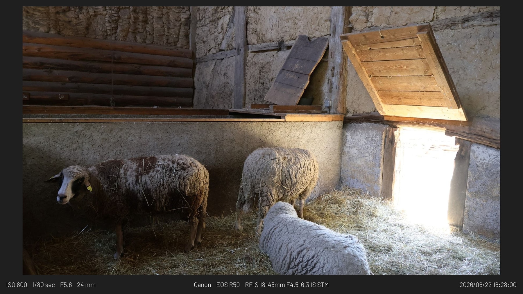 A finished framed output file generated by the same renderer used by the Lightroom Classic export filter.